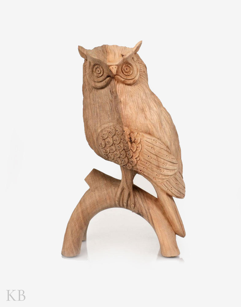 Walnut Wood Carved Curious Owl - Kashmir Box