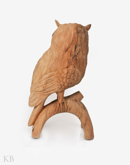 Walnut Wood Carved Curious Owl - Kashmir Box